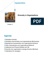 Diversity in Organizations