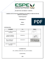 Informe Grupal Salud Ocupacional