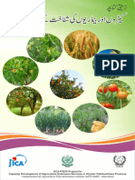 Plant Pathology Insects Diseases Indentification