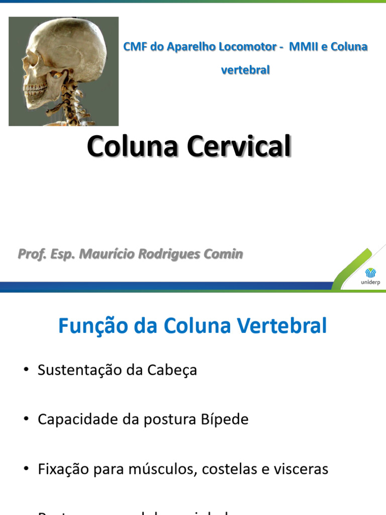 Anatomia e Função da Coluna Vertebral | PDF | Ciências e Matemática