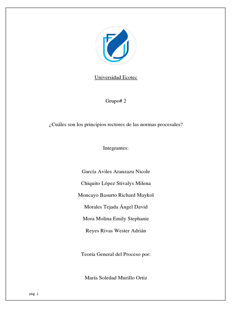 Principios rectores de las normas procesales | PDF | Ley procesal | Juez