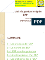 PGI ERP - Cours Complet
