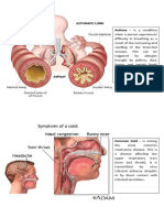 Diseases of The Respi and Circulatory