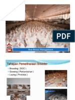 Managing Hens