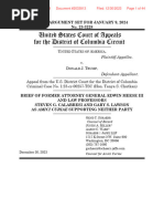 Ed Meese DC Court of Appeals Amicius