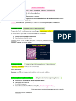 Resumo-Tecido Cartilagíneo.