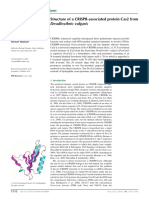 Structure of A CRISPR-associated Protein Cas2 From Desulfovibrio Vulgaris