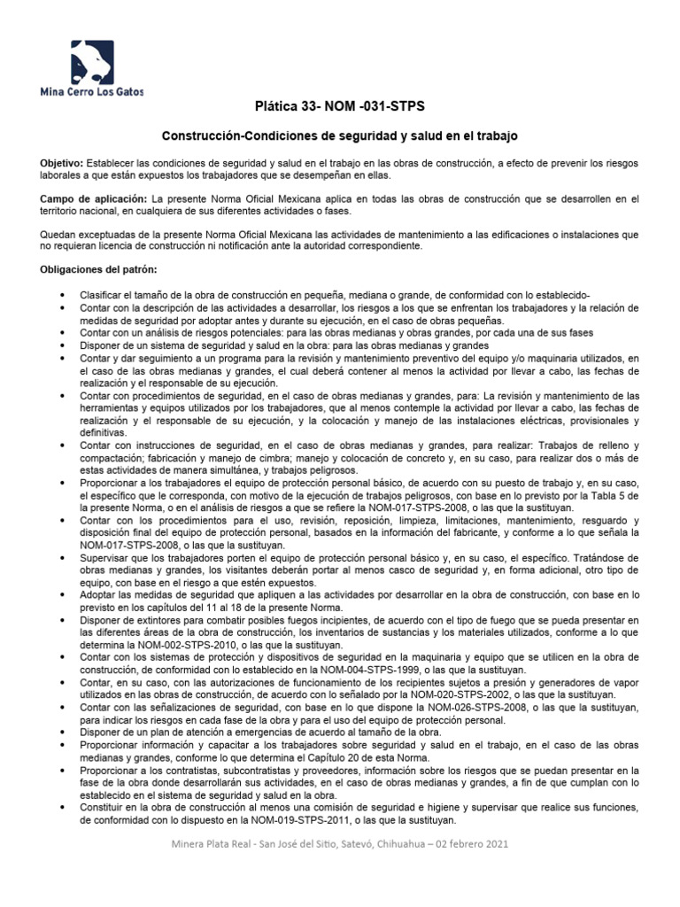 Norma 031 STPS: Seguridad en Construcción | PDF | Derecho | Tecnología