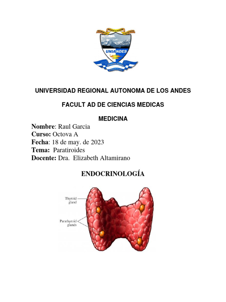 hipocalcemia-pdf-vitamina-d-calcio