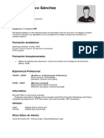 Curriculum Vitae Cronologico