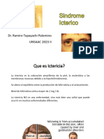 4 Sindrome Icterico 2023 Ii