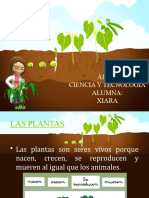 Las Plantas