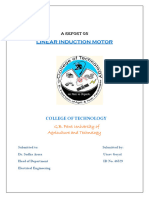 Linear Induction Motor: A Report On