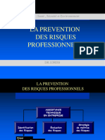 Prévention Des Risques Proffessionnels 2