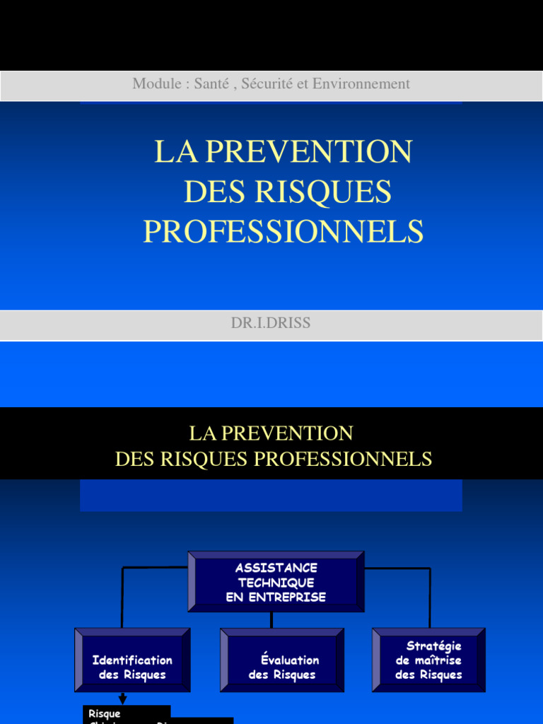 Prévention des Risques Professionnels | PDF