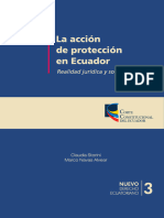 La acción de protección en Ecuador - M Navas y C Storini