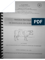 Polycope TP Ruminants