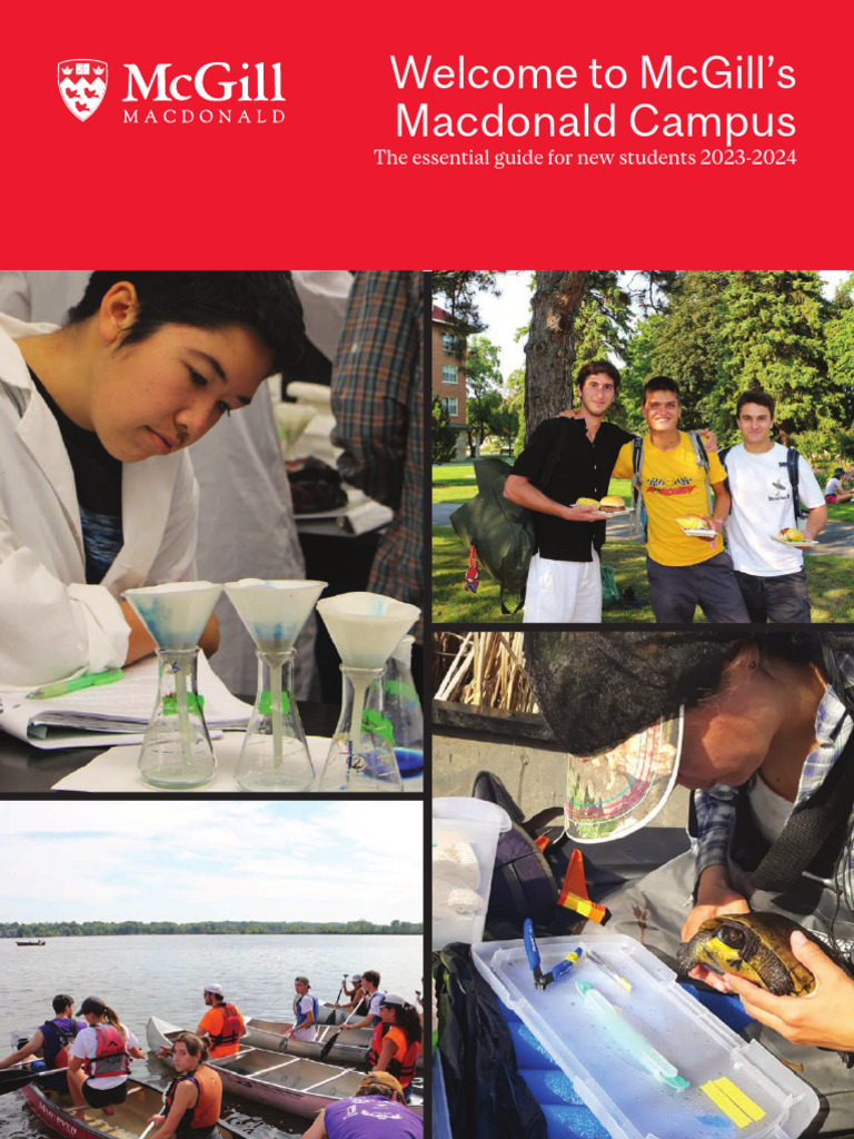 Bellevue University 2024 2025 Calendar Your Ultimate Guide - 8mssqjs