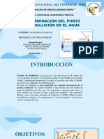 Dterminacion Del Punto de Ebullicion Del Agua