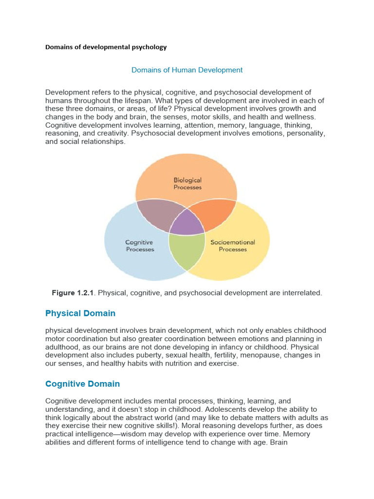 Understanding Developmental Domains | PDF | Developmental Psychology ...