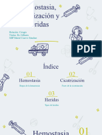 Hemostasia, Cicatrización y Heridas