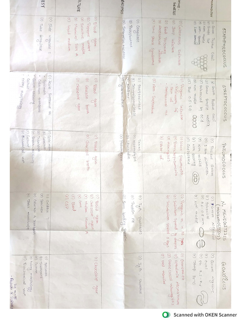 Chart Microbiology PDF
