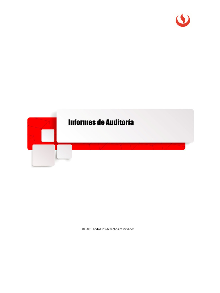Informe de Auditoria | PDF | Auditoría | Contabilidad