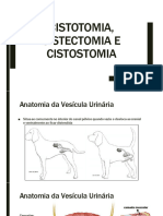 Cistotomia, Cistectomia e Cistostomia