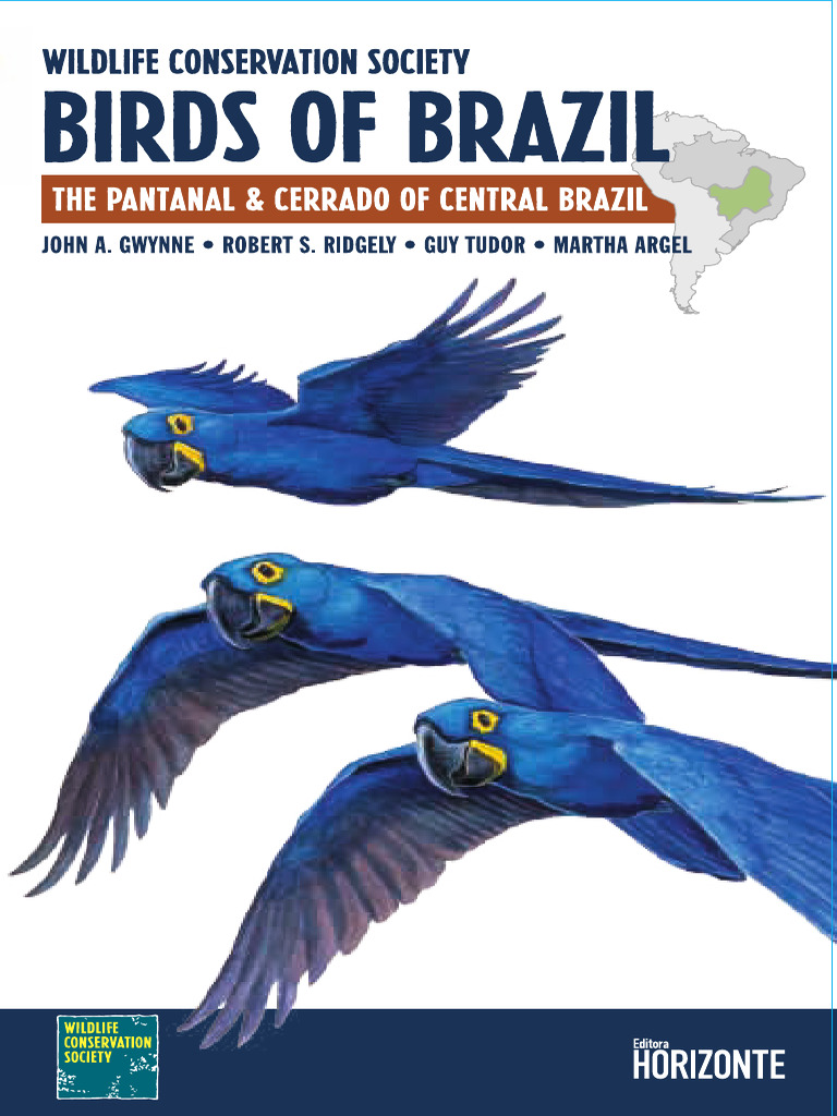 Guia Aves Ingles Pdf Birds Ornithology