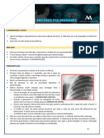 Tuberculose e Micoses Pulmonares