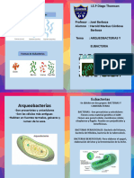 Díptico Biologia