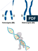 biologia genetica
