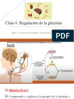 Clase 6. Regulación de La Glicemia. 2°