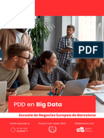 ENEB PDD en Big Data