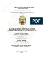 Tesis-2021-Ing. Ambiental-Paucar Curi y Ramos Huaira