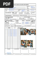 MPT Report Format | PDF