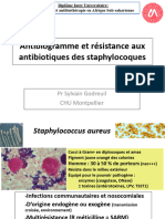 Staphylocoques Cours 2022