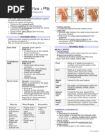 Nasal Cavity Proper | PDF | Human Nose | Primate Anatomy