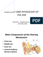 Anatomy and Physiology of The Ear