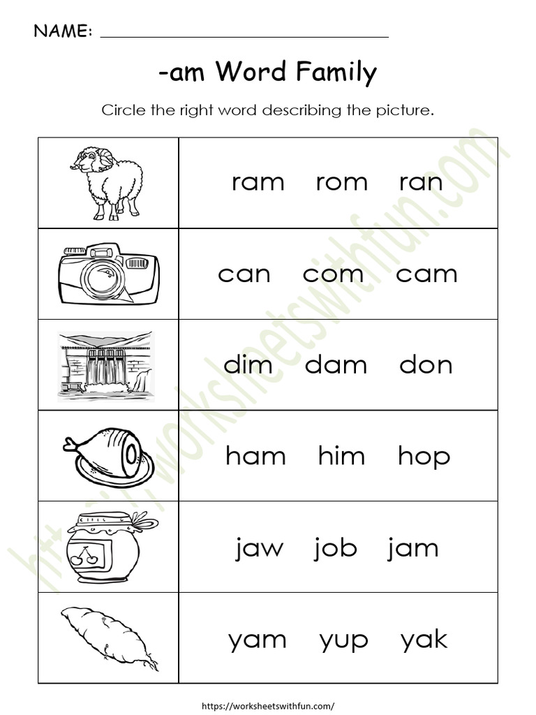 CVC (am Words) Worksheet 10 PDF