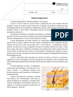 Ficha 30 - Sistema Tegumentar