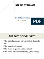 Carbohydrate Metabolism 02-The FATE of PYRUVATE