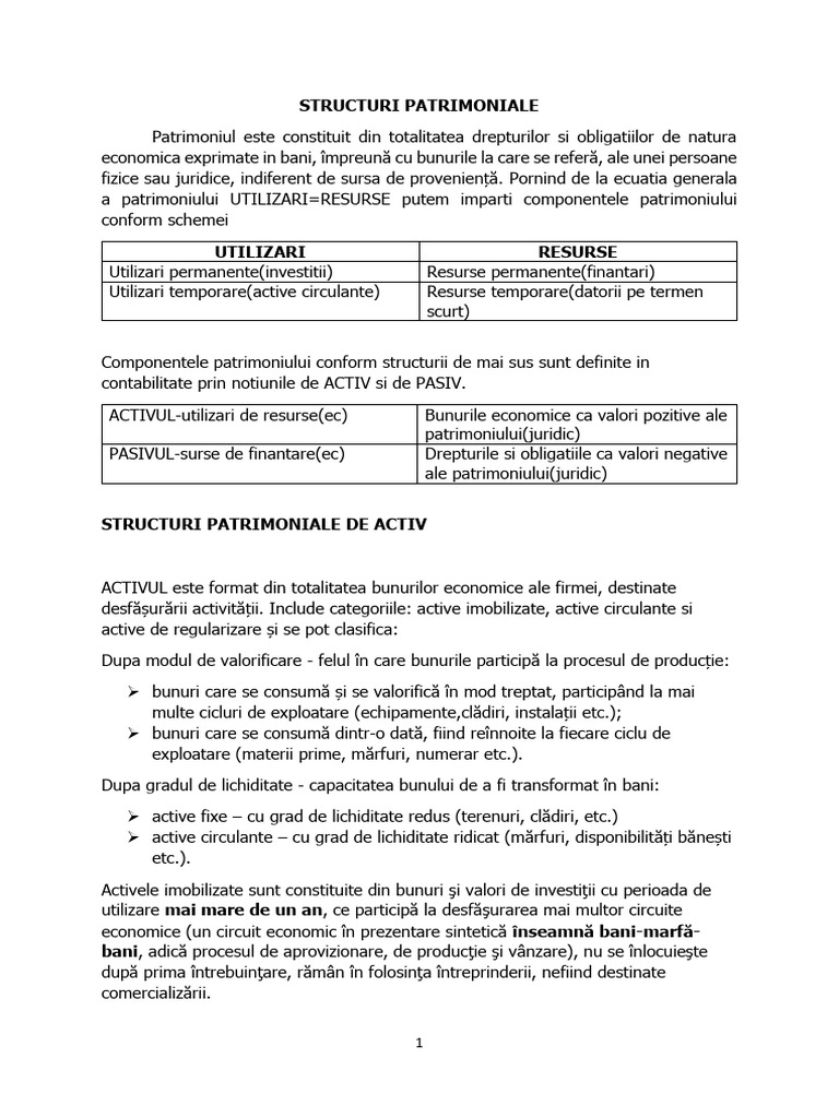 Structuri Patrimoniale | PDF