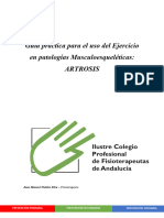 Artrosis Fisoterapia JM Nieblas