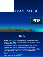 Enzim Dan Energi
