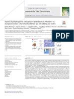 Impact of Polypropylene Microplastics and Chemical Pollutants On