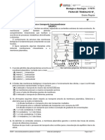 11ÂºFW RevisÃ Es10âº Transportes Transmembranares