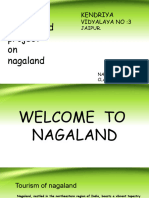Project On Nagaland by Daksh Kumawat