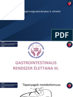 Gastrointestinalis Rendszer Ea - III.