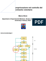 Il Ruolo Della Propriocezione Nel Controllo Del Movimento Volontario